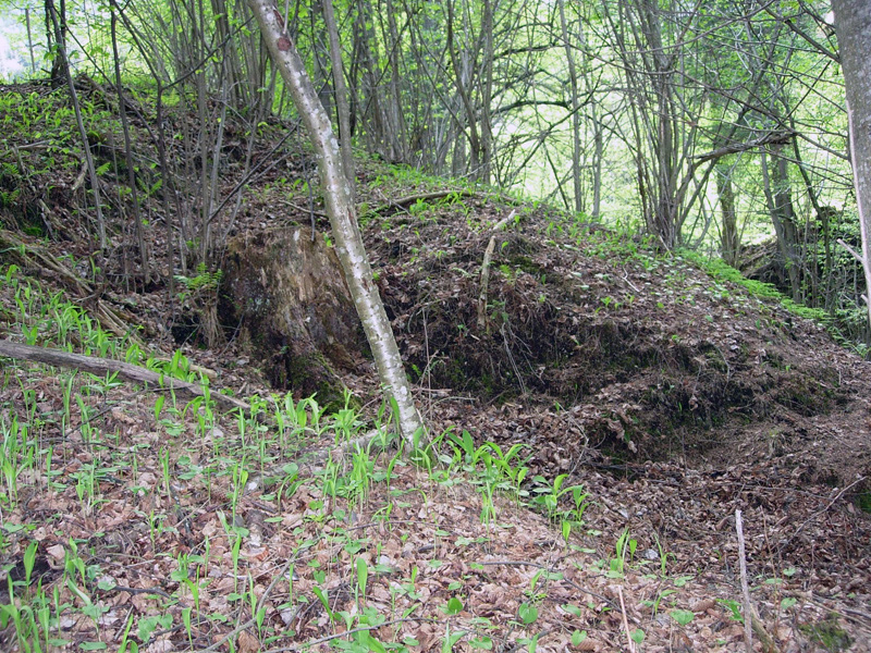 0035-spittal-drau-oberamlach-pinge-2005-80